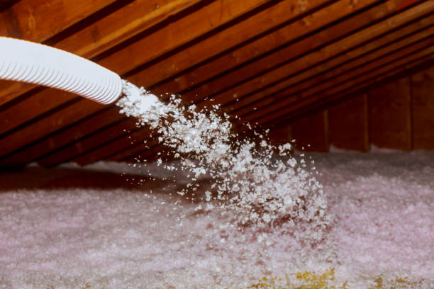 Best Commercial Insulation in County Center, VA