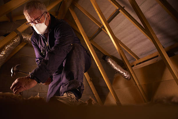 Types of Insulation We Offer in County Center, VA